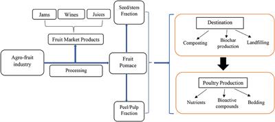 Fruit Pomaces as Functional Ingredients in Poultry Nutrition: A Review